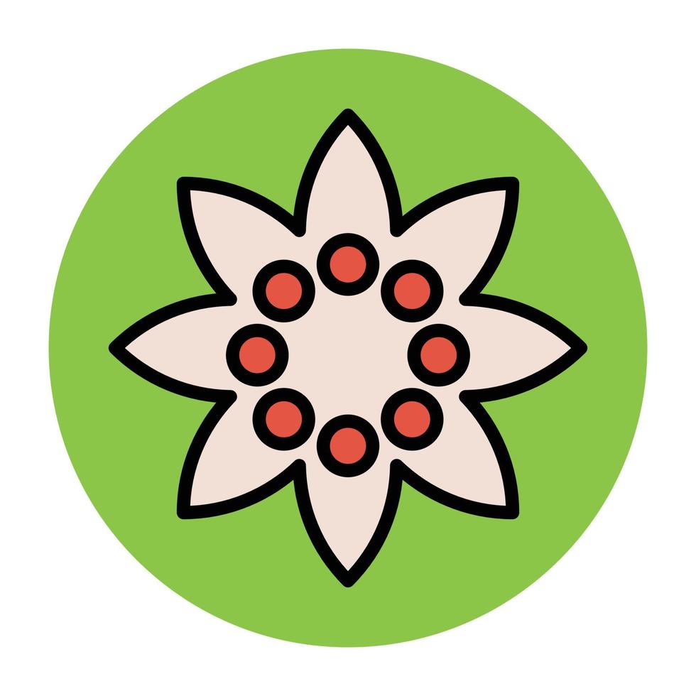 Hoya Flower Concepts vector