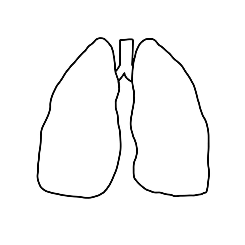 Lung Health Anatomy Biology Breath function Doodle vector