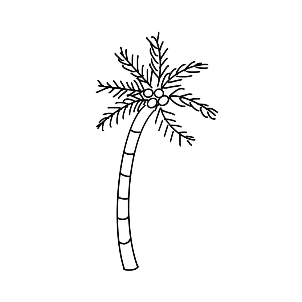 Coconut Tree Summer Beach Relax Natural  Doodle vector