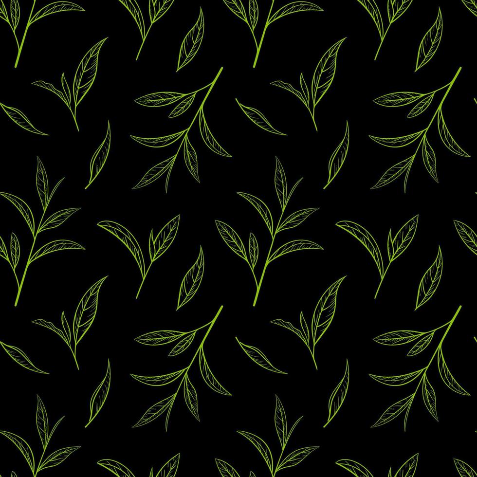 Leaf green tea pattern seamless, vector illustration. Leaves tea tree on black background. Hand drawn sketch in vintage style for print and design. Organic nature herb outline, eco healthy food