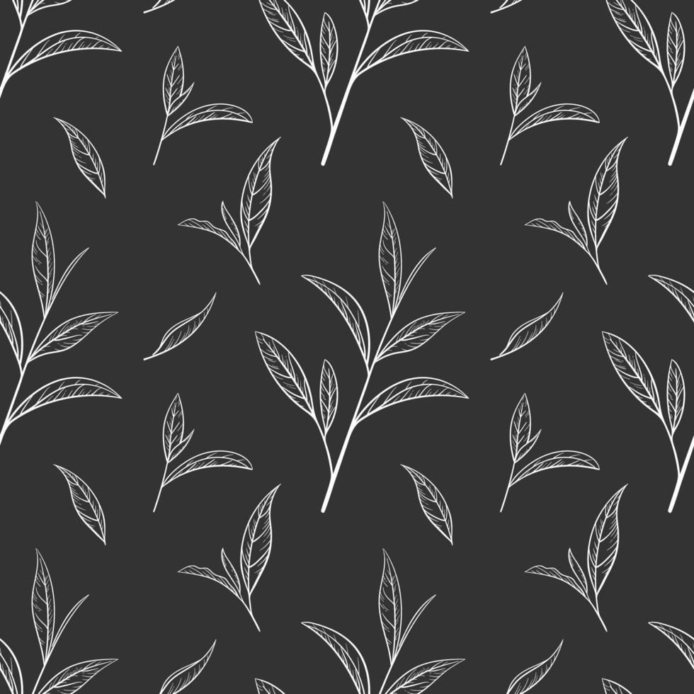 Leaf green tea pattern seamless, vector illustration. Leaves tea tree on black background. Hand drawn sketch in vintage style for print and design. Organic nature herb outline, eco healthy food