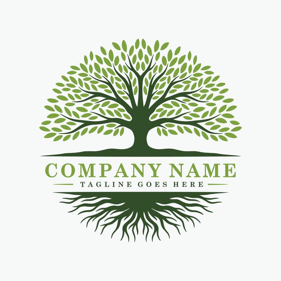 logotipo de árbol abstracto e ilustración de diseño de raíces vector