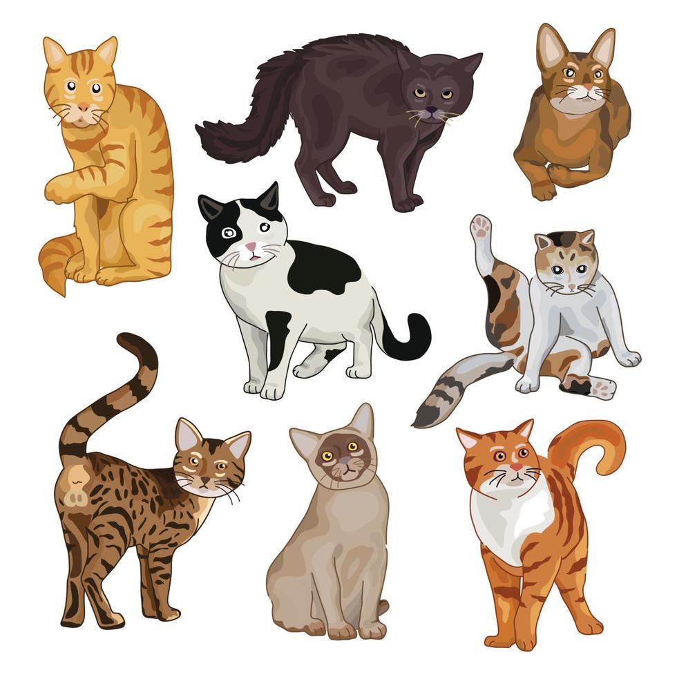 lindo conjunto de dibujos animados de gatos. ilustración vectorial para el diseño. vector