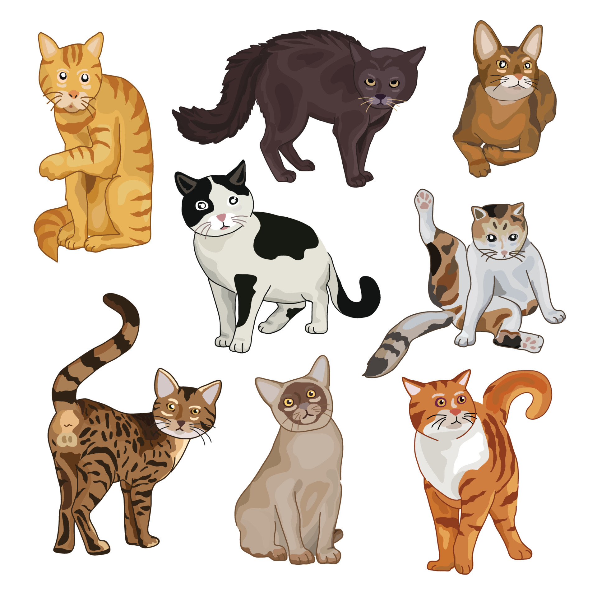Cute cat cartoon set. Vector illustration for design. 6870682 Vector