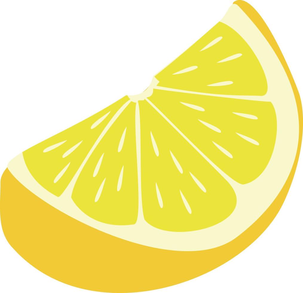 Fresh lemon fruit of juicy bright, cut up, a slice vector