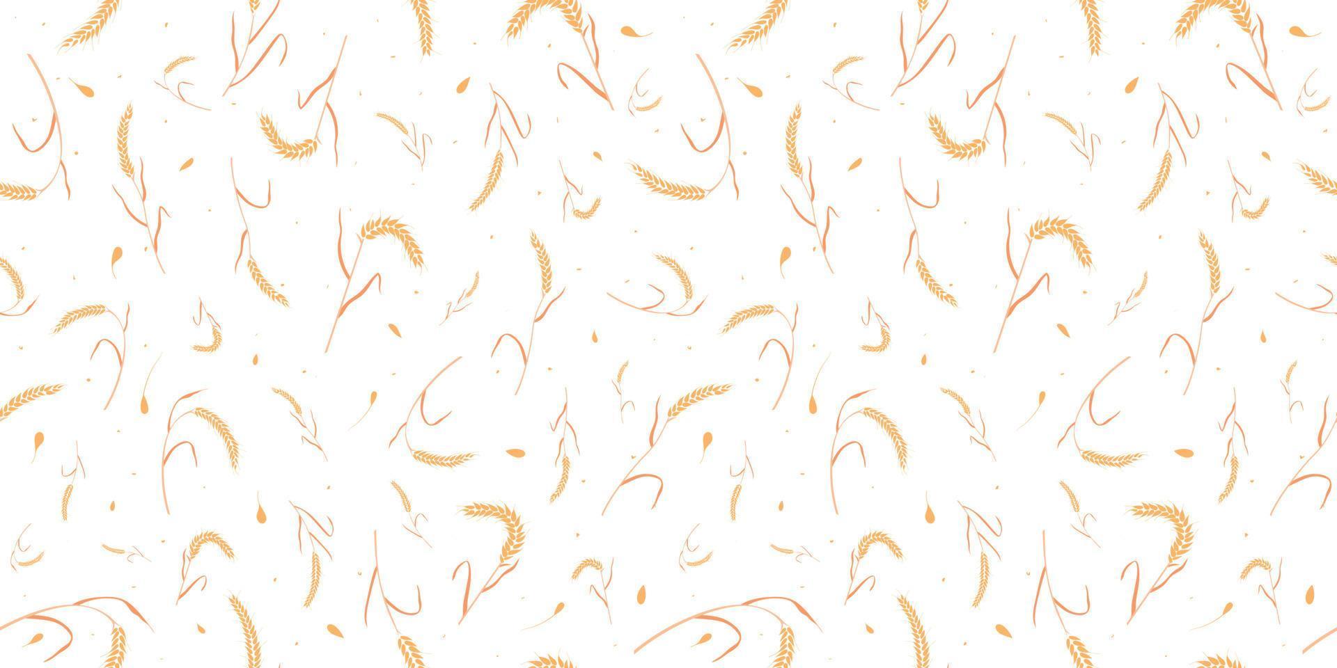 Seamless pattern with whole grain seeds organic, natural ears isolated on white background. vector
