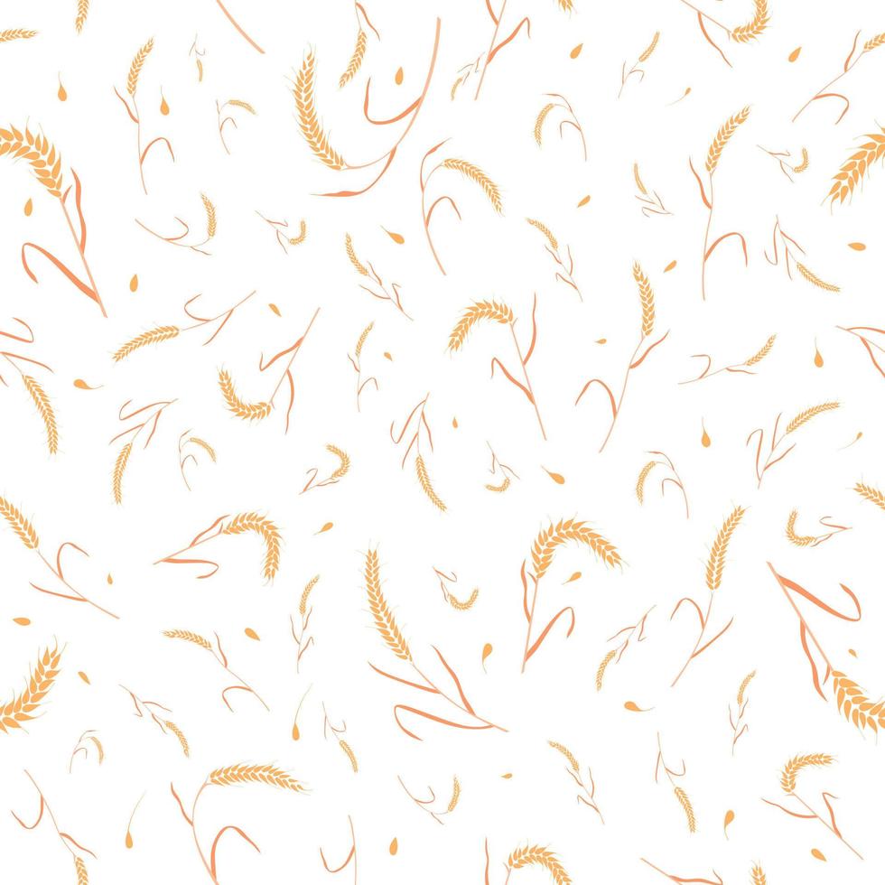 Seamless pattern with whole grain seeds organic, natural ears isolated on white background. vector