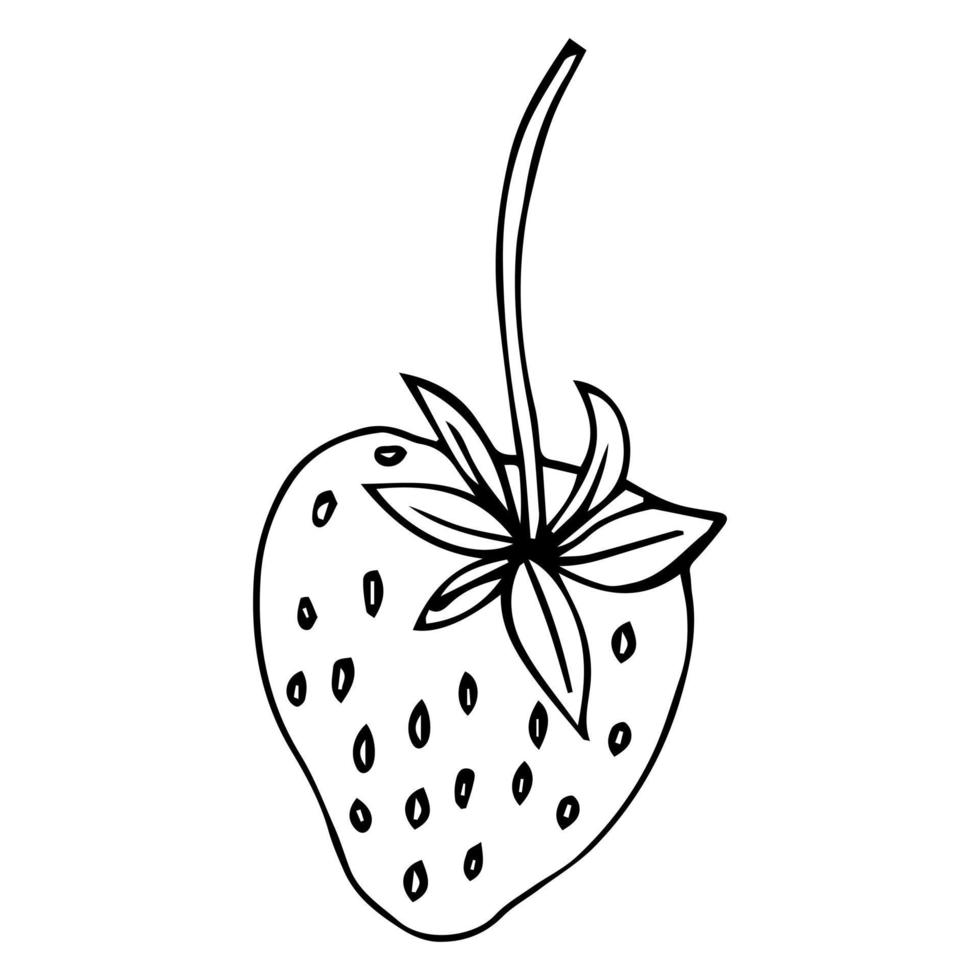 Strawberry Outline - Vector Black Line Fruit