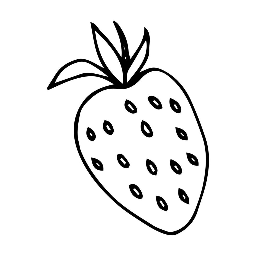 A strawberry, berry with leaves icon. Black and white line art sketch. Hand drawn ink doodle drawing, stock vector illustration.