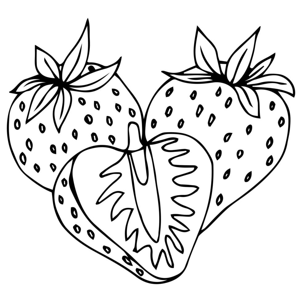 Strawberry Outline - Vector Three fruit black