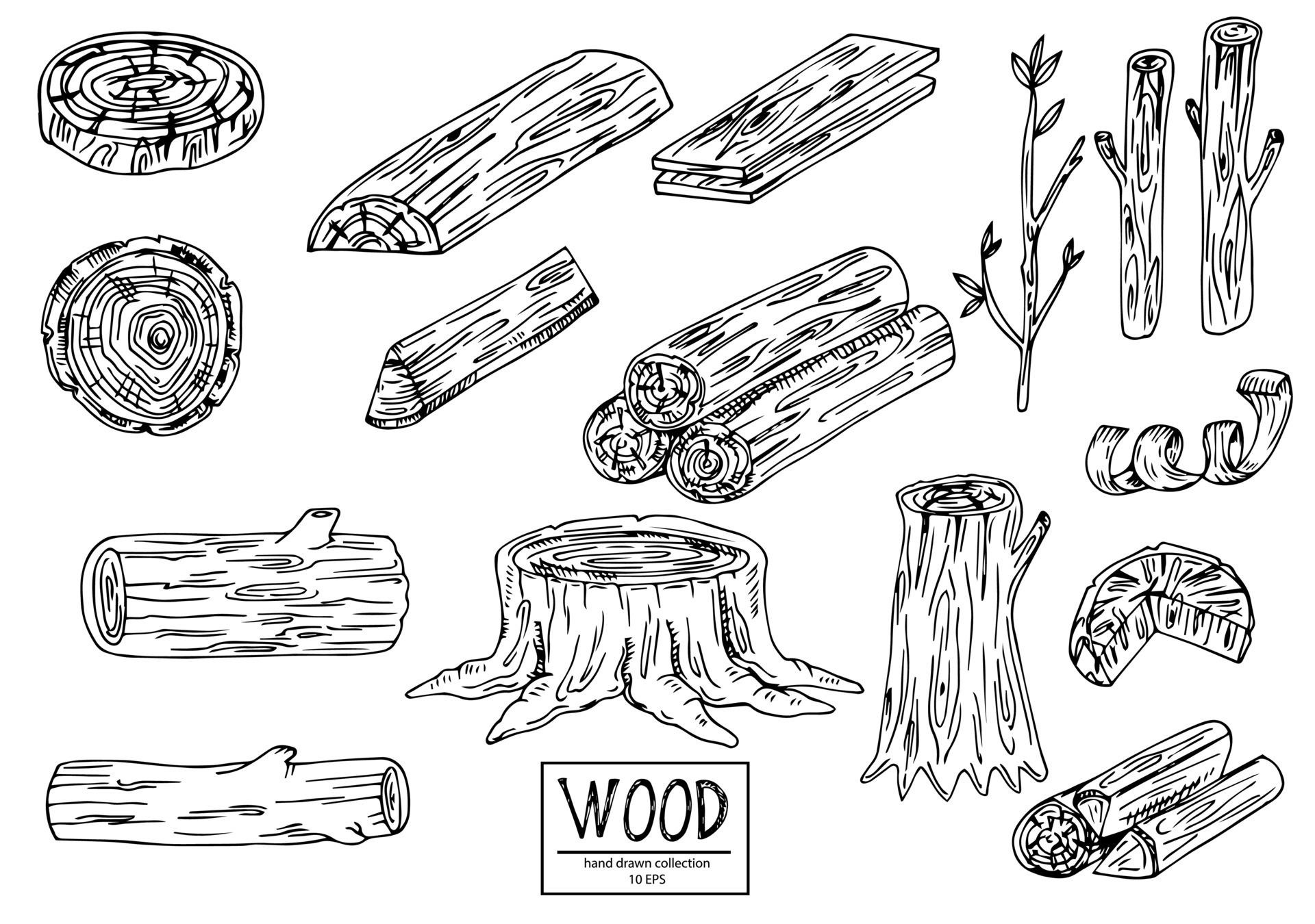 Tree Log Drawing