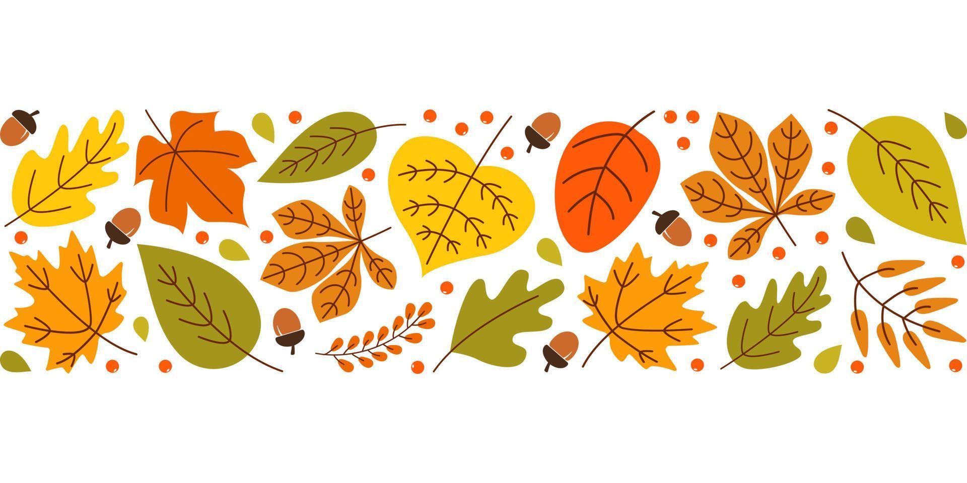 Autumn background with colorful seasonal leaves, berries, acorns on white background. Bright horizontal wide strip . Vector illustration
