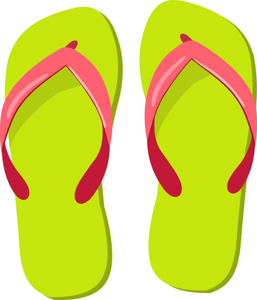 flip flops isolated icon design, vector illustration graphic