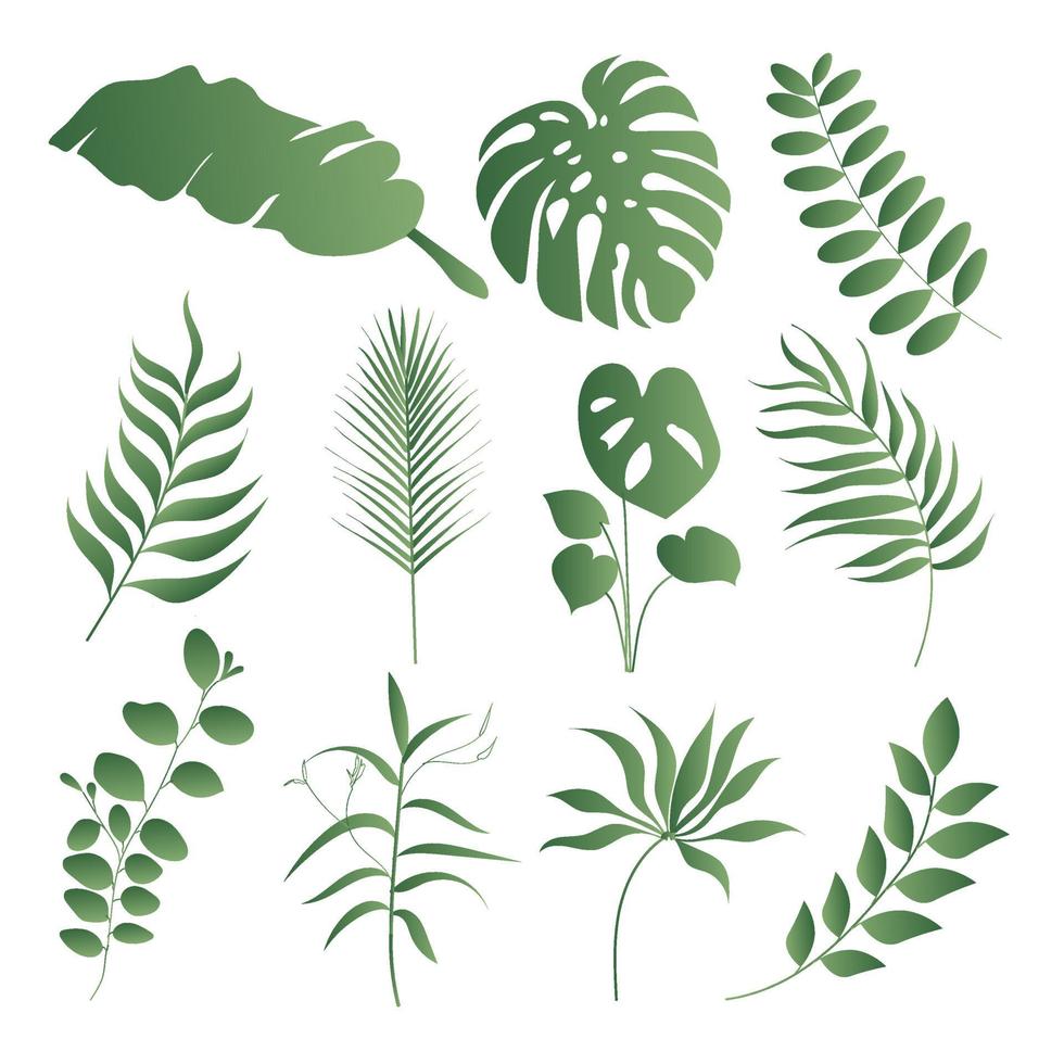 composición de elemento de hojas tropicales degradado abstracto verde vector