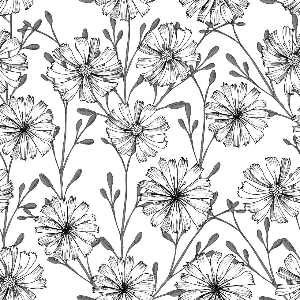 Seamless vector pattern with chicory flower. Black flowers and herbs are isolated on white background. Print design for wallpapers, textile, fabric, wrapping gifts, ceramic tiles