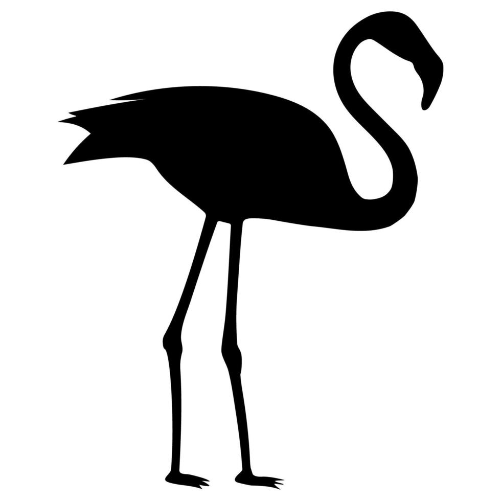 Vector of the flamingo logo in black silhouette on a white background. Flamingo bird.