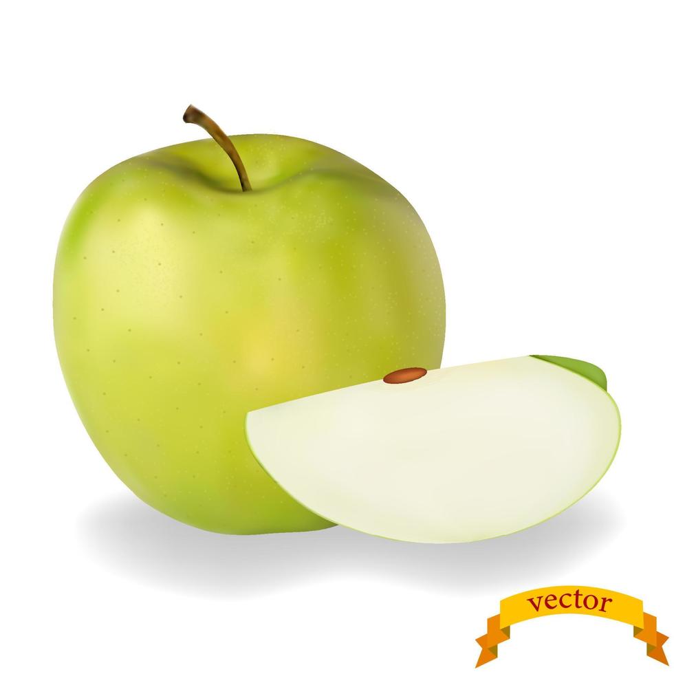 Realistic green apple with slice. Vector illustration