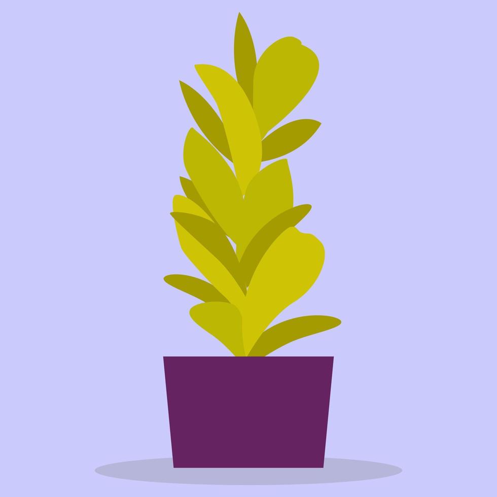 una planta de casa. una flor verde en una maceta morada. la imagen está hecha en un estilo plano. ilustración vectorial vector