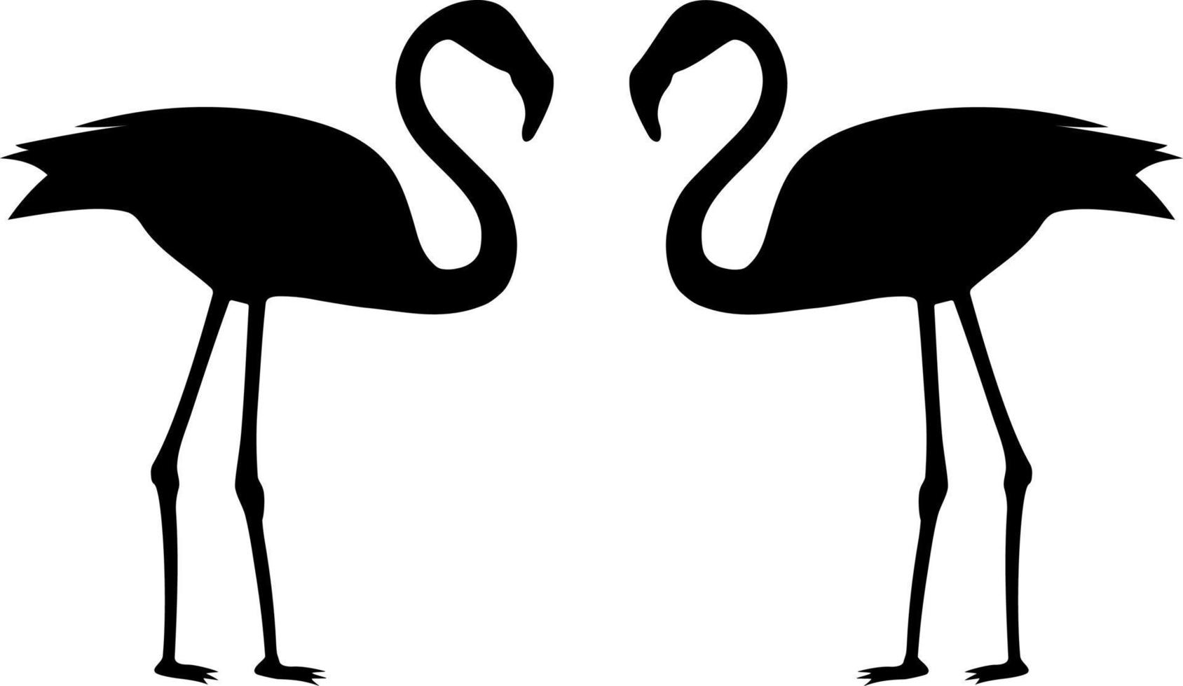 Black silhouette of a flamingo bird. Illustration on a white background. Two flamingo birds. vector