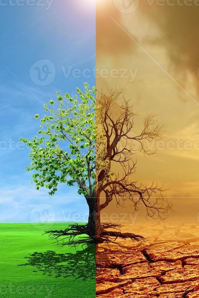 The concept of global warming and drought photo