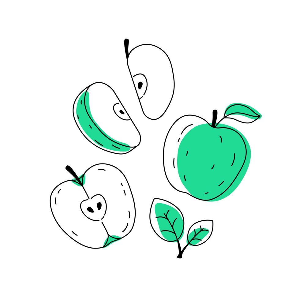 Green doodle apple outline with spots. Whole, pieces, seeds and leaves vector