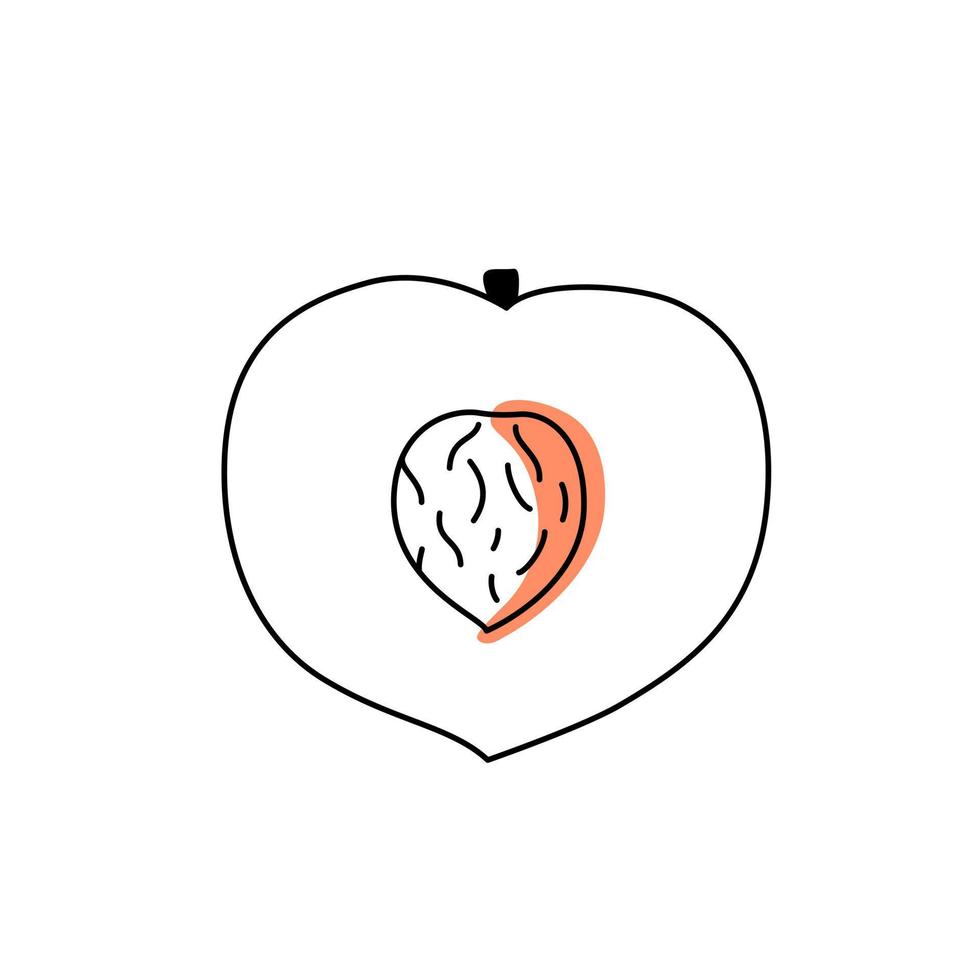 Doodle outline slice peach with spot. Vector illustration for packing.