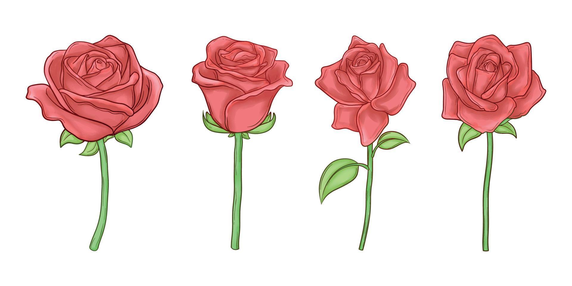 conjunto de lindas rosas dibujadas a mano vector