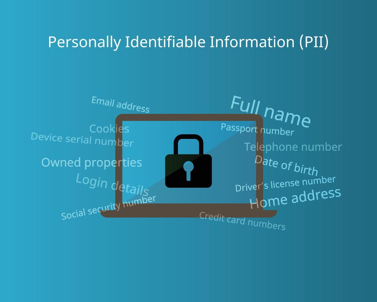 Personally identifiable information for sensitive data vector