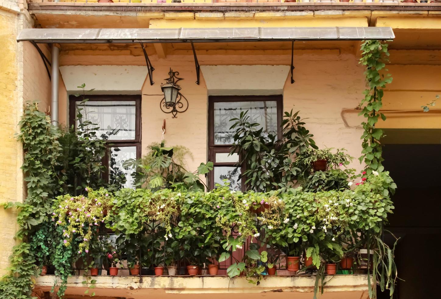 hojas verdes y flores frente a dos lindas ventanas y balcones en kyiv foto