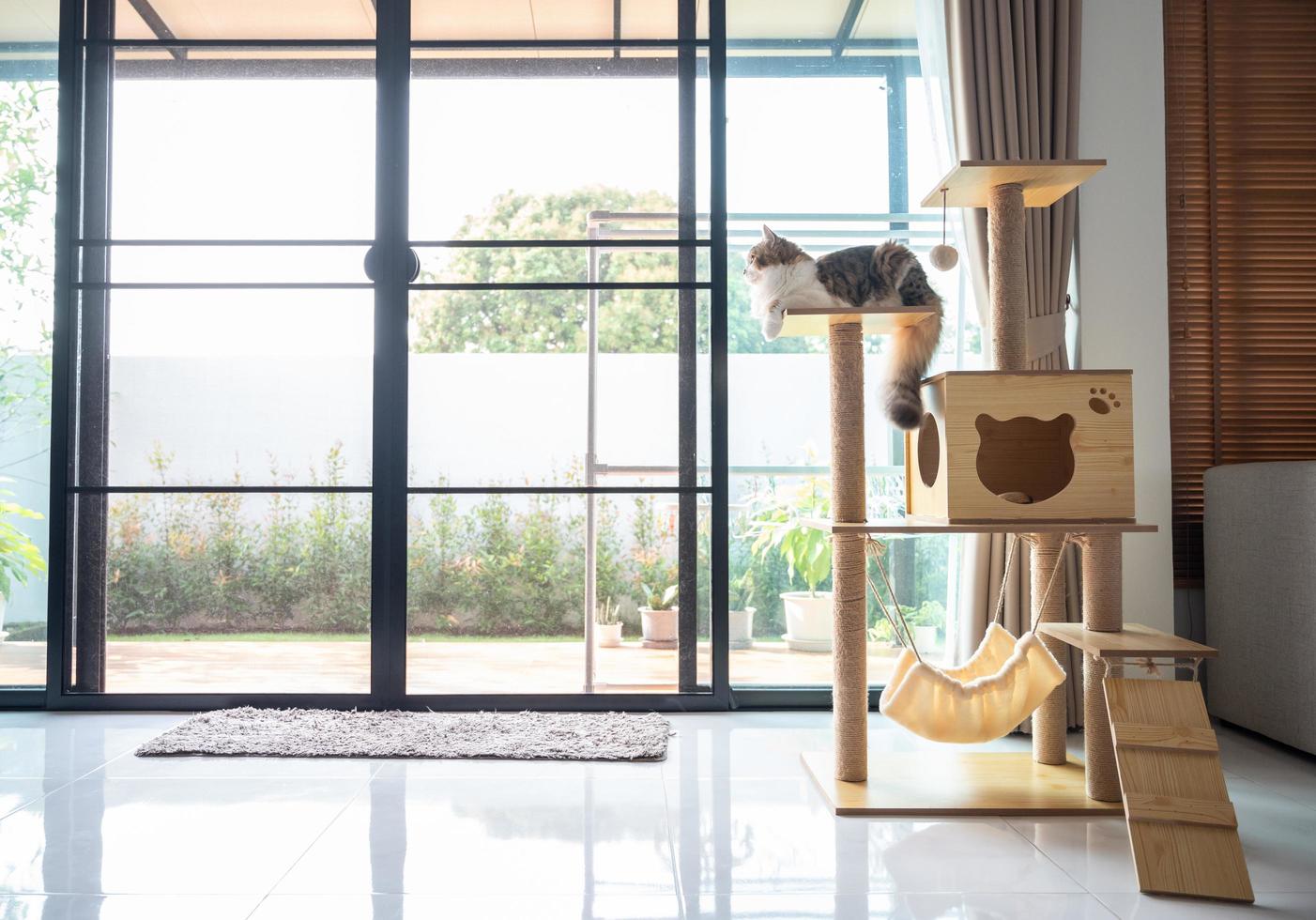 Cute Persian cat waiting her owner on a wooden cat tree in modern house. A cat tree is an artificial structure for a cat to play. photo