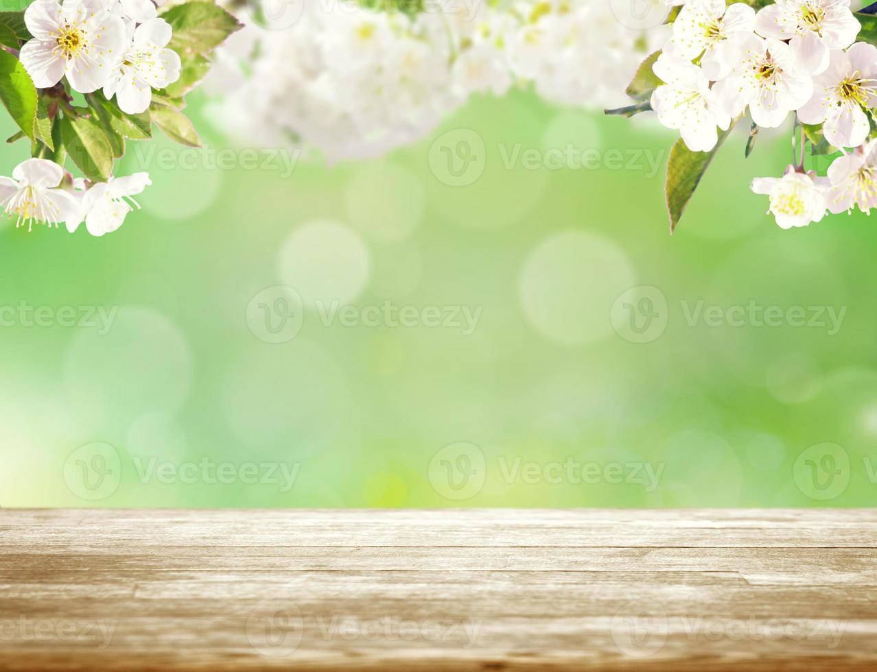 Beautiful nature view of spring flowering trees on blurred background. photo