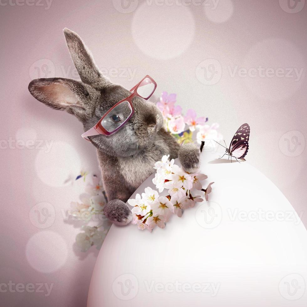 Funny Easter bunny. Happy Easter holiday concept. photo