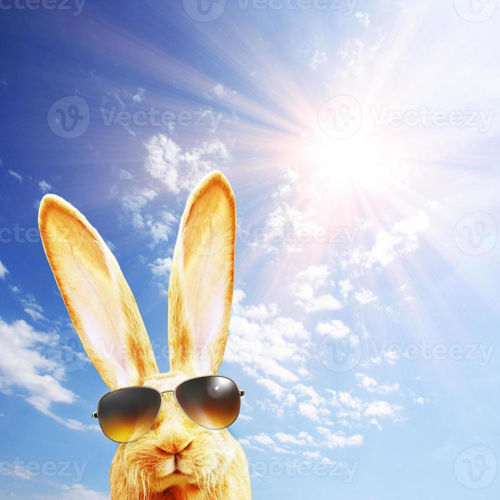 divertido conejito de pascua. feliz concepto de vacaciones de pascua. foto