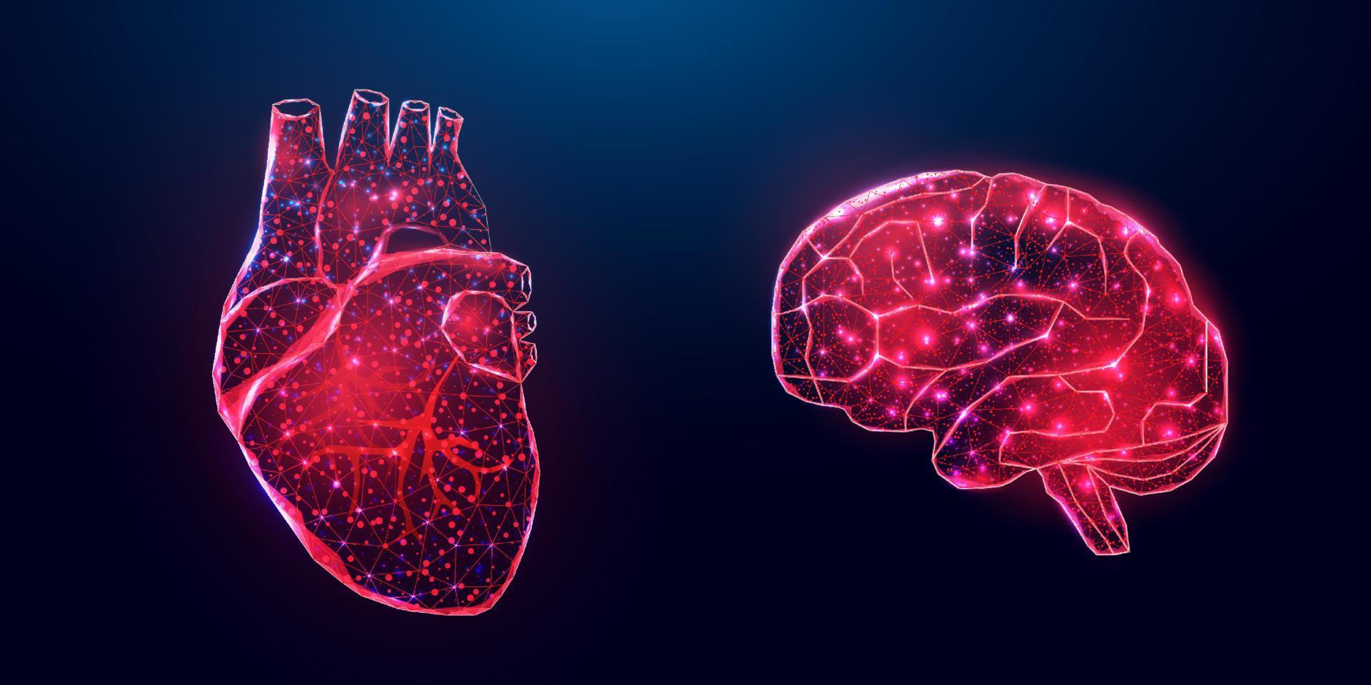 Human heart and brain. Wireframe low poly style. Abstract modern 3d vector illustration on dark blue background.