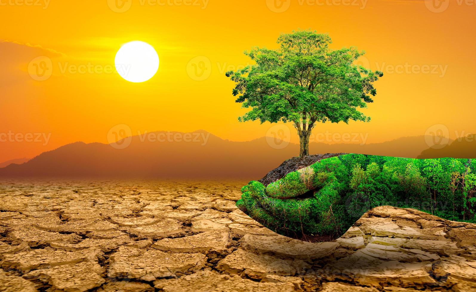 tree in two hands  with very different environments Earth Day or World Environment Day Global Warming and Pollution photo