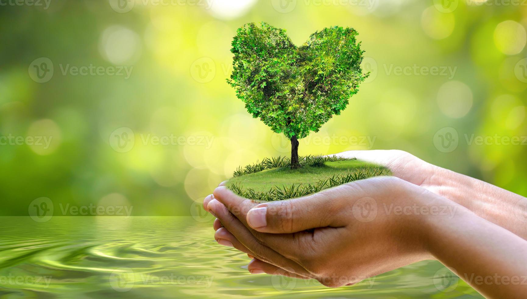 medio ambiente día de la tierra en manos de árboles que cultivan plántulas. Bokeh de fondo verde mano femenina sosteniendo el árbol en el campo de la naturaleza concepto de conservación de bosques de hierba foto