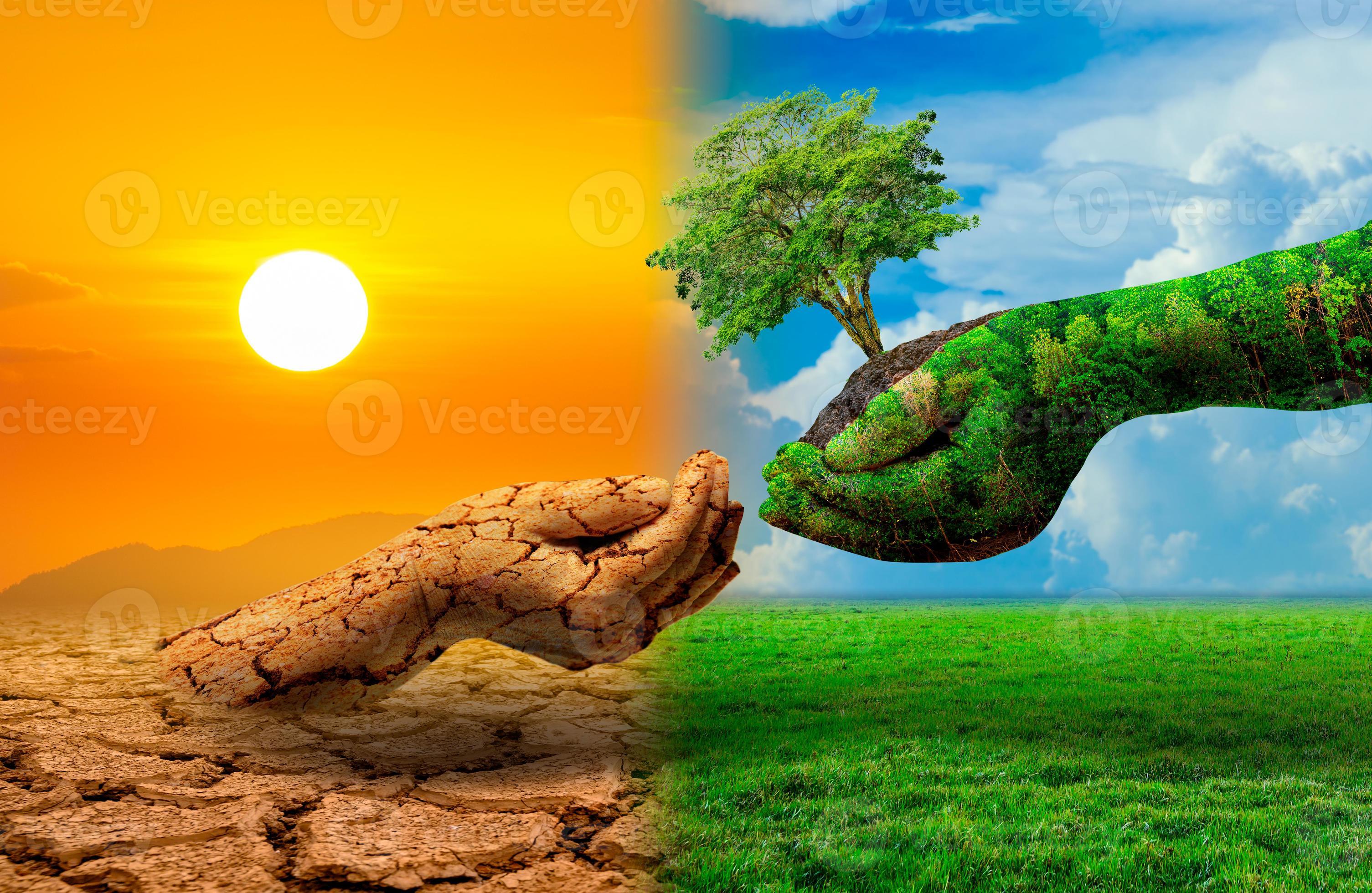tree in two hands with very different environments Earth Day or World