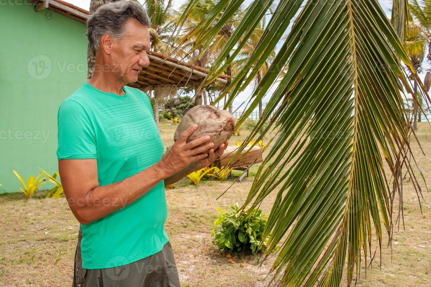 Senior man under a coconut tree holding a coconut that fell from the tree photo