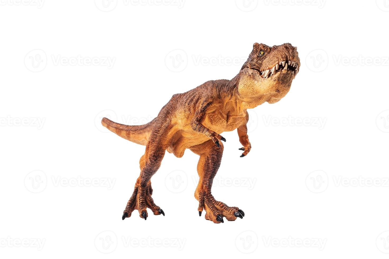 tiranosaurio rex, dinosaurio sobre fondo de aislamiento foto
