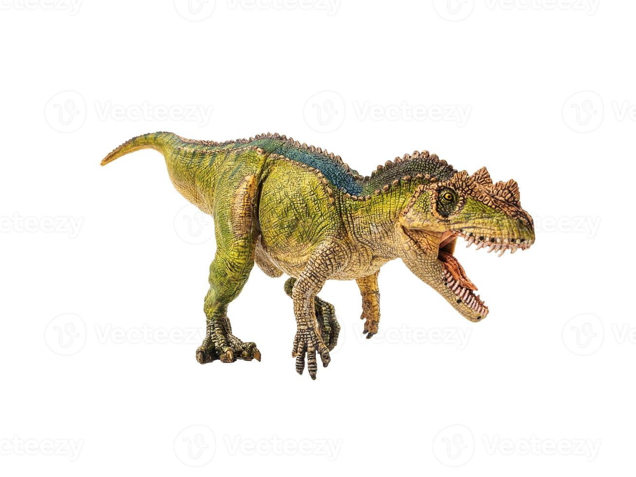 Ceratosaurus , Dinosaur on white background photo