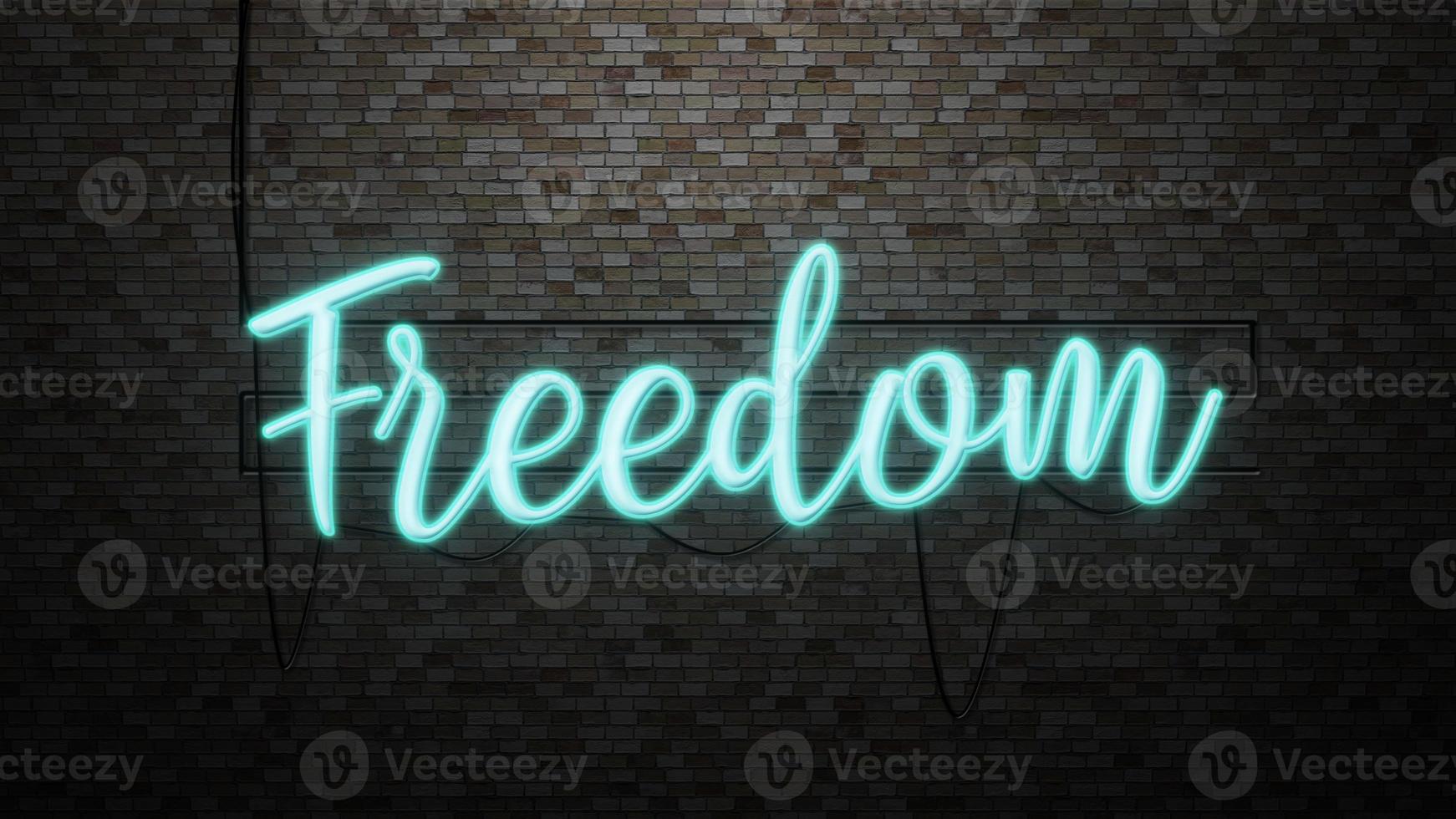 The message Freedom  neon light on Brick wall bcakground photo