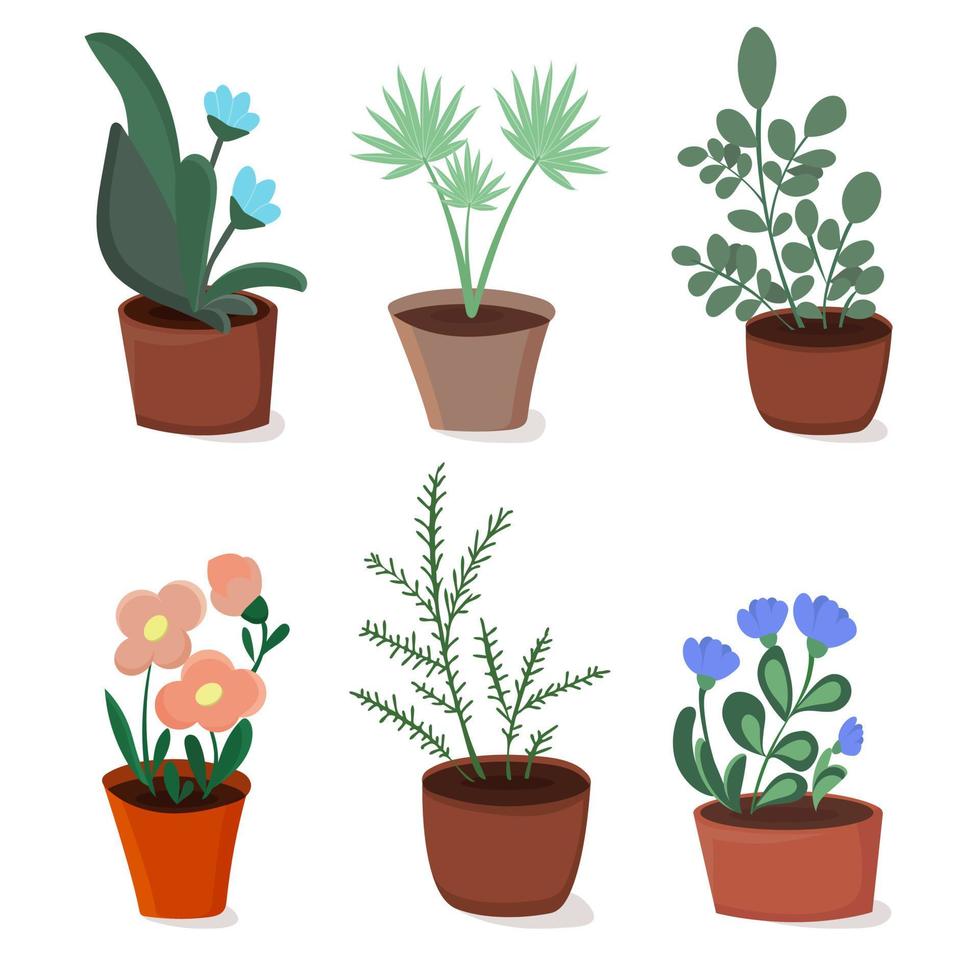 A set of houseplants. Plants in ceramic pots vector