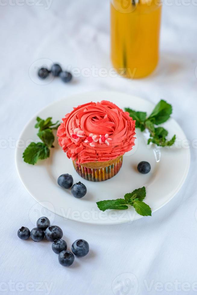 delicioso cupcake en un plato blanco sobre un fondo blanco. foto