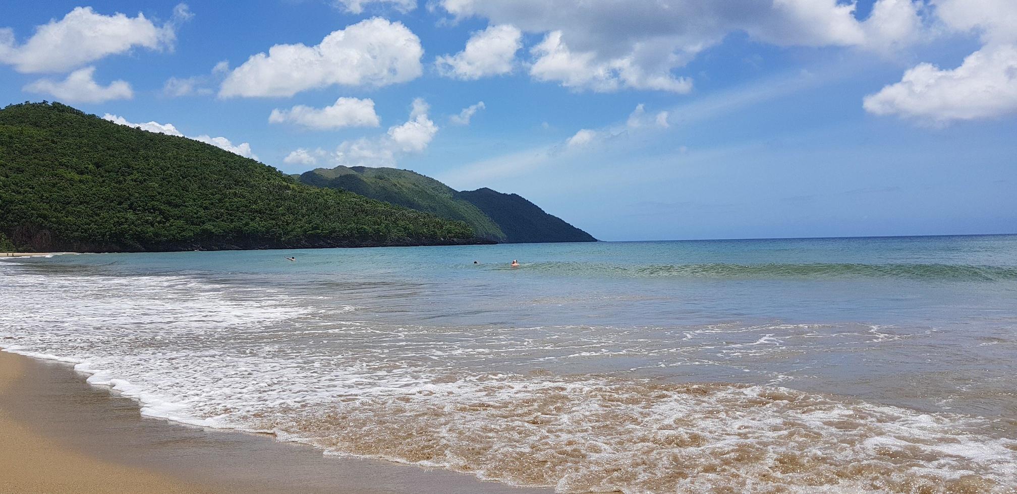paraíso dominicana, mar caribe, naturaleza, palmeras, playa, sol y arena foto