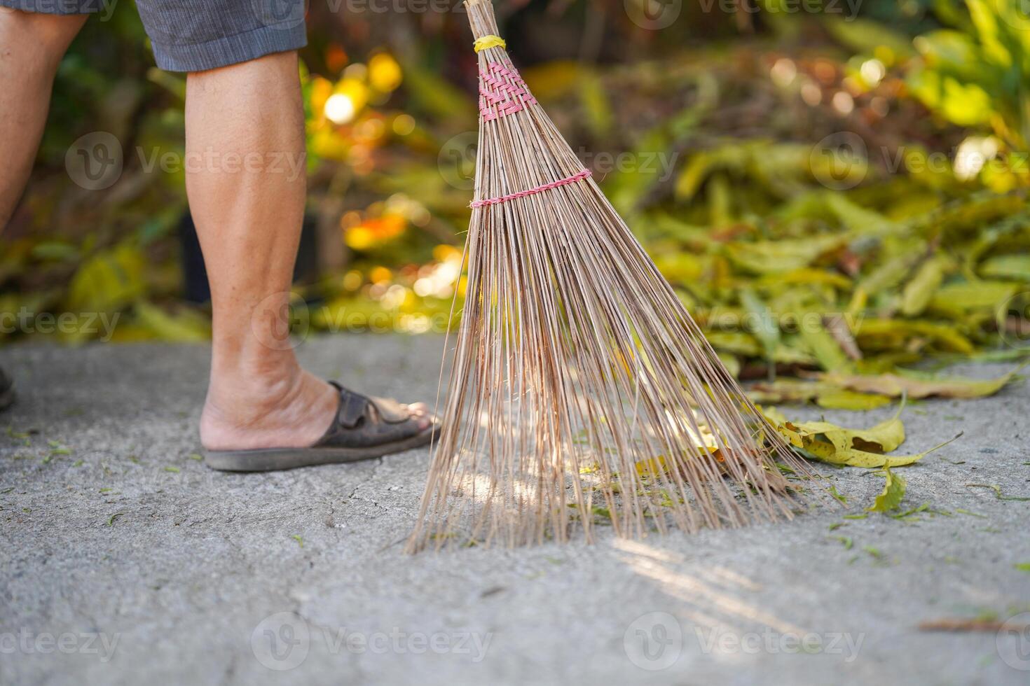 People using a broom Sweep the leaves in the courtyard to clean up