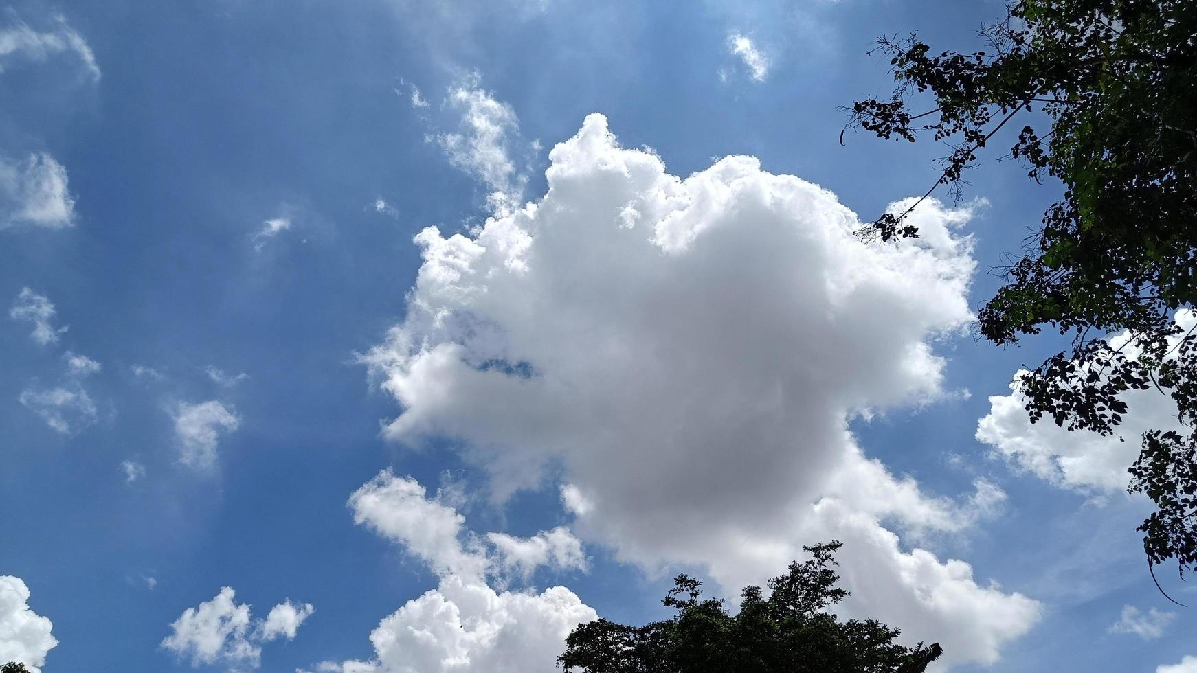 Sky and clouds, trees, leaves, beautiful daytime photo