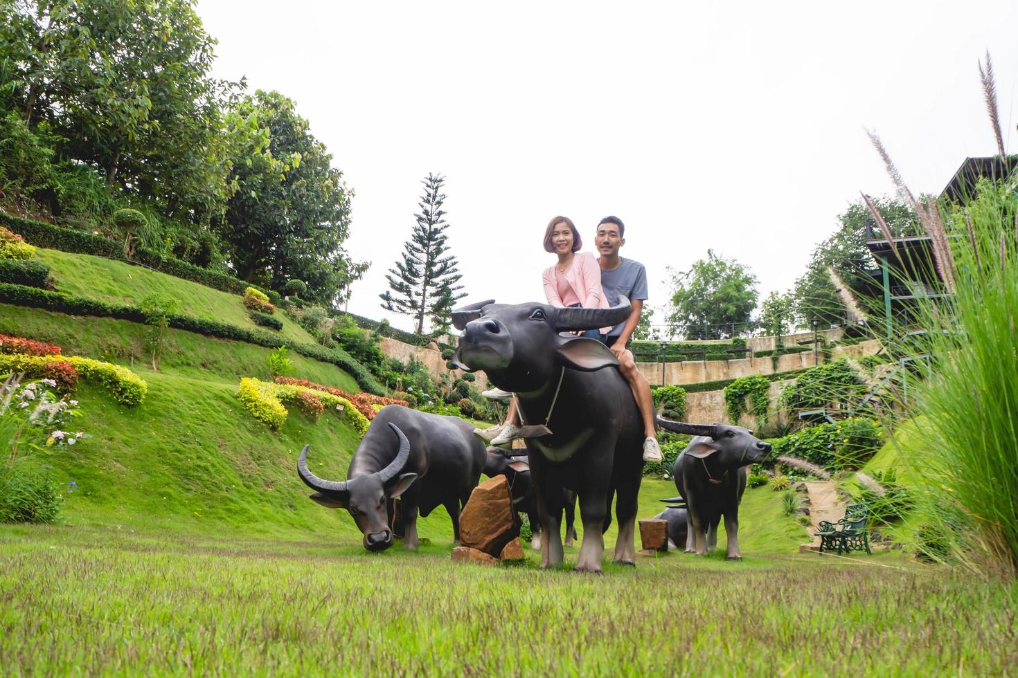 buffalo and people photo