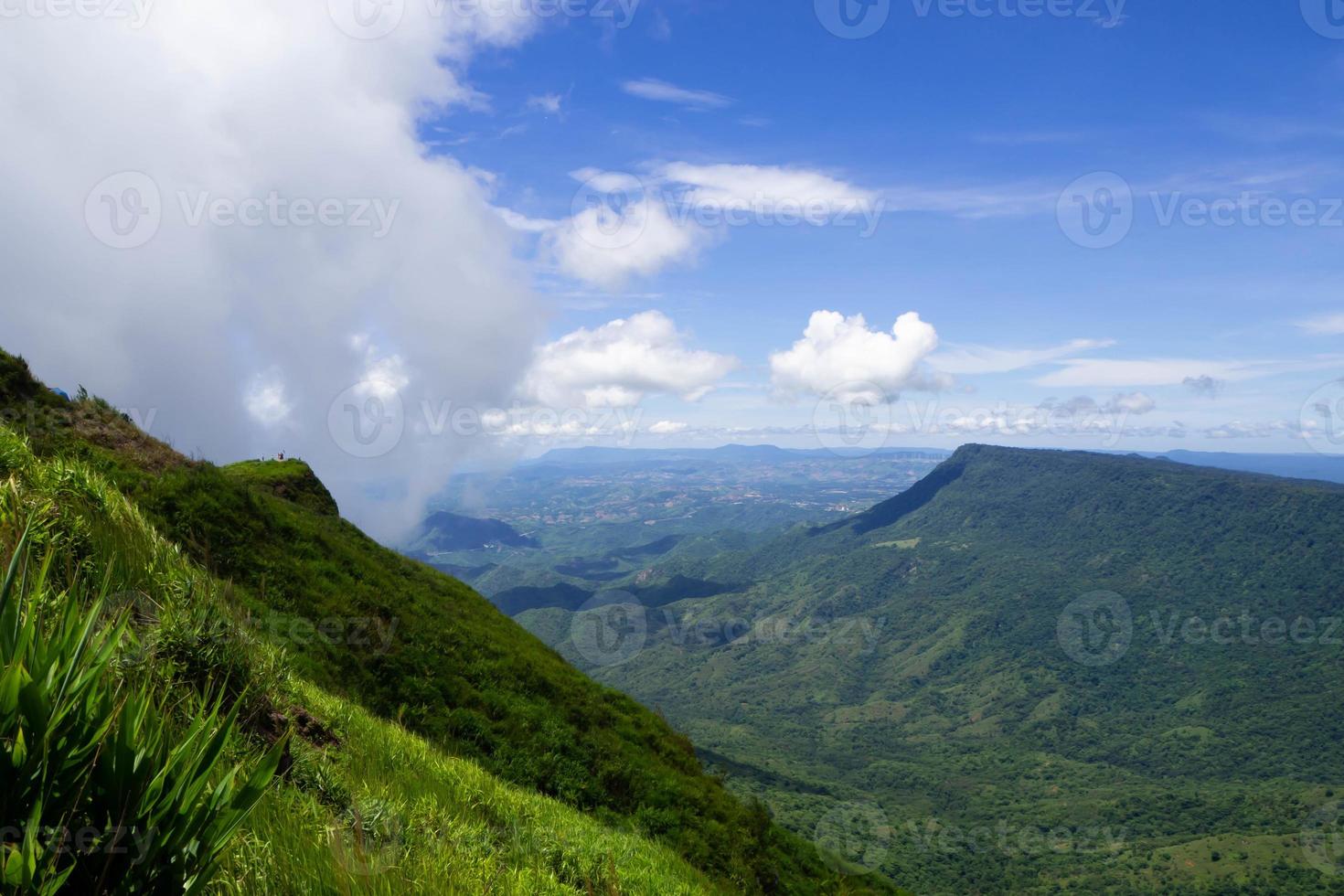 naturaleza y montaña foto