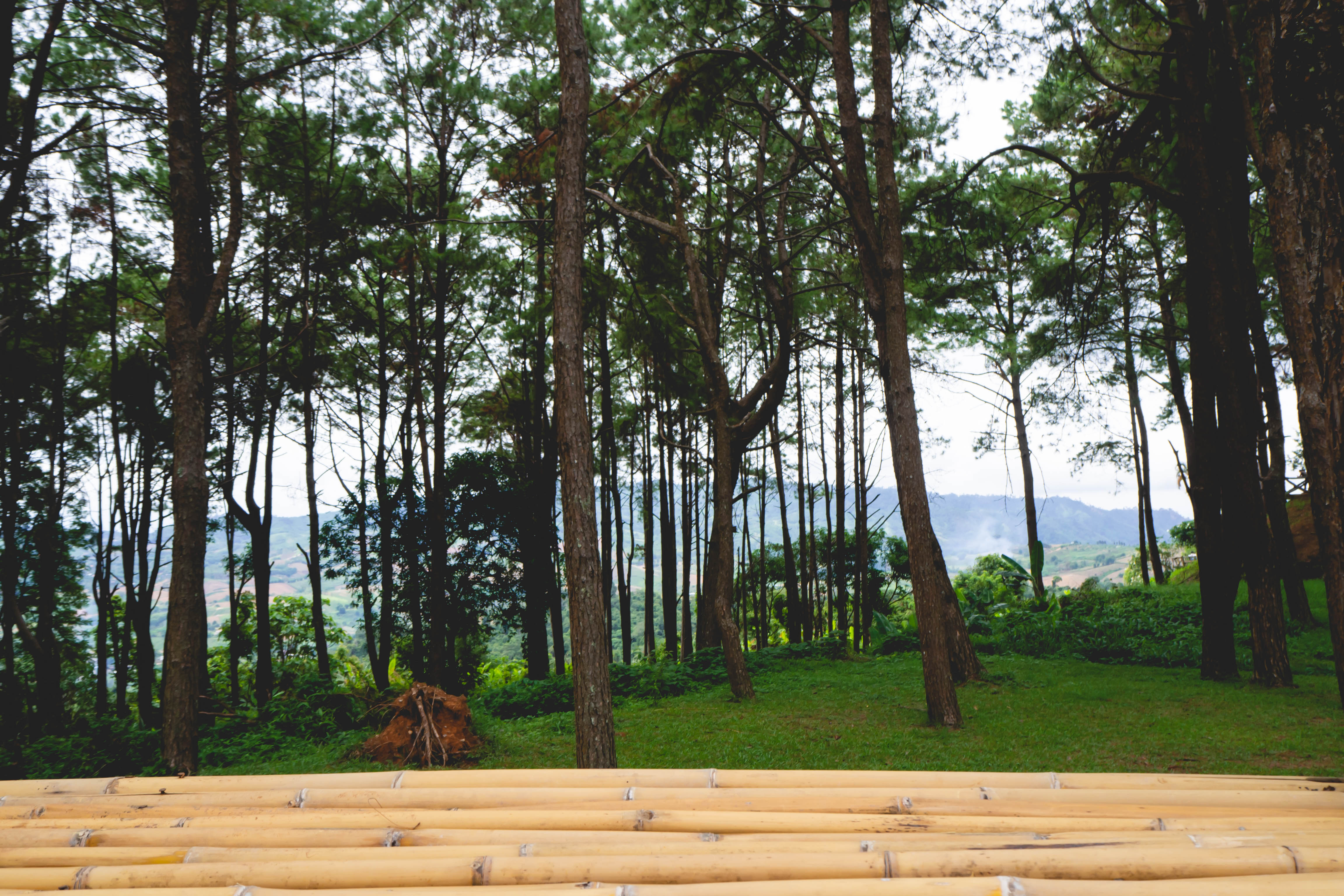 Long Table Stock Photos, Images and Backgrounds for Free Download