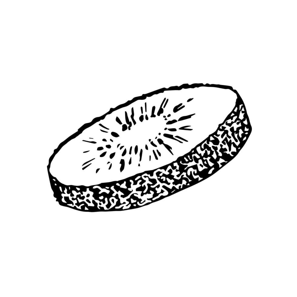 ilustración vectorial simple dibujada a mano en contorno negro. rodaja redonda de kiwi aislado sobre fondo blanco. ingrediente, cocina, postre, vitamina, menú, logo, pegatina. vector